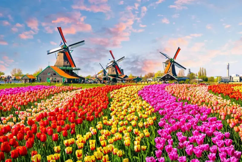 Belanda
